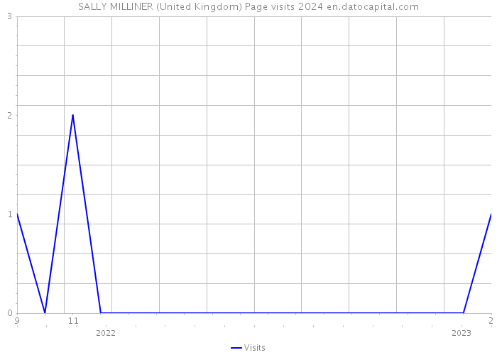 SALLY MILLINER (United Kingdom) Page visits 2024 