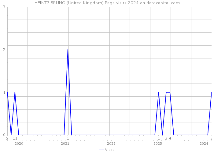 HEINTZ BRUNO (United Kingdom) Page visits 2024 