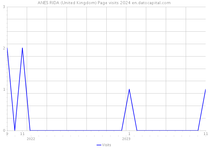 ANES RIDA (United Kingdom) Page visits 2024 
