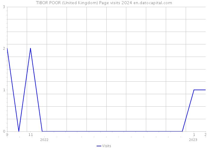 TIBOR POOR (United Kingdom) Page visits 2024 