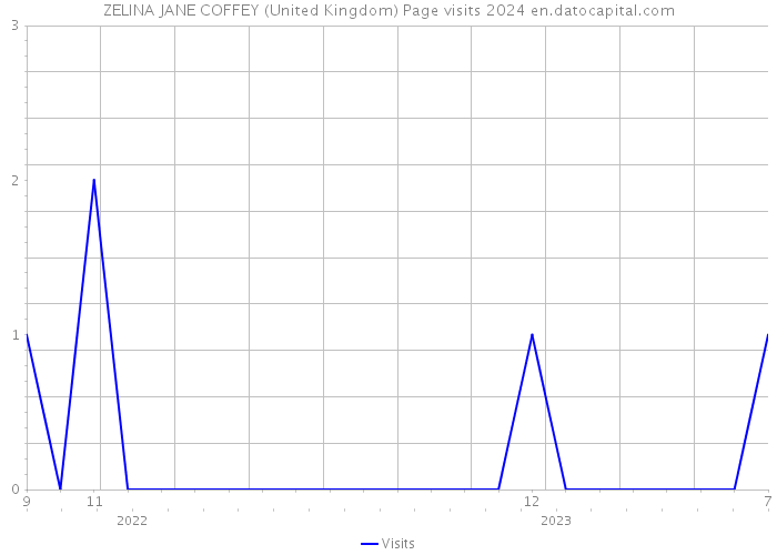 ZELINA JANE COFFEY (United Kingdom) Page visits 2024 