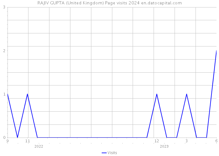 RAJIV GUPTA (United Kingdom) Page visits 2024 
