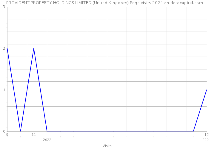 PROVIDENT PROPERTY HOLDINGS LIMITED (United Kingdom) Page visits 2024 