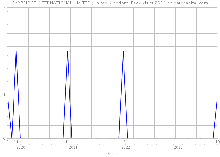 BAYBRIDGE INTERNATIONAL LIMITED (United Kingdom) Page visits 2024 