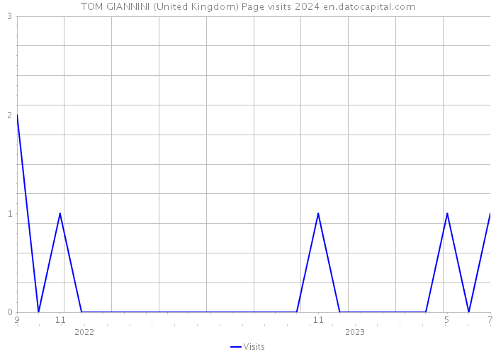 TOM GIANNINI (United Kingdom) Page visits 2024 