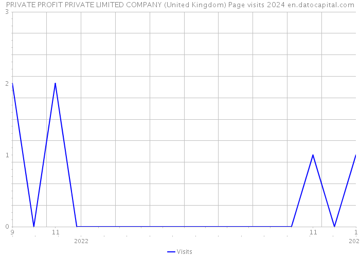 PRIVATE PROFIT PRIVATE LIMITED COMPANY (United Kingdom) Page visits 2024 