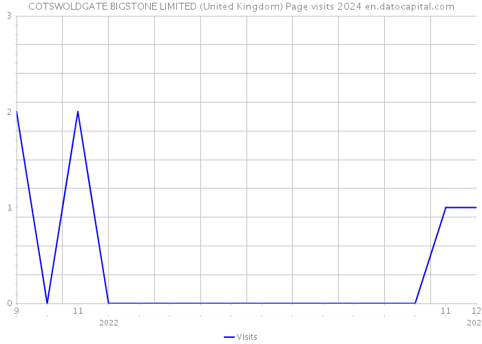 COTSWOLDGATE BIGSTONE LIMITED (United Kingdom) Page visits 2024 