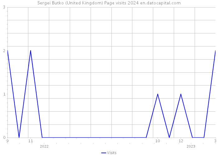 Sergei Butko (United Kingdom) Page visits 2024 