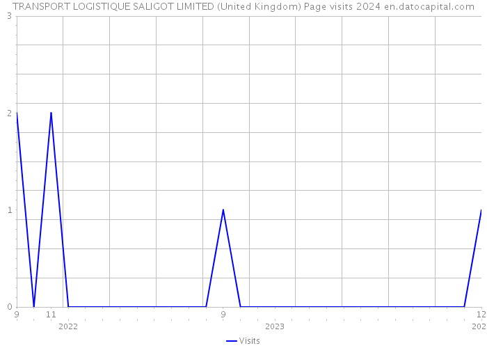 TRANSPORT LOGISTIQUE SALIGOT LIMITED (United Kingdom) Page visits 2024 
