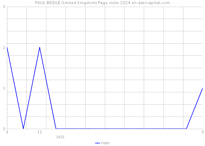 PAUL BIDDLE (United Kingdom) Page visits 2024 