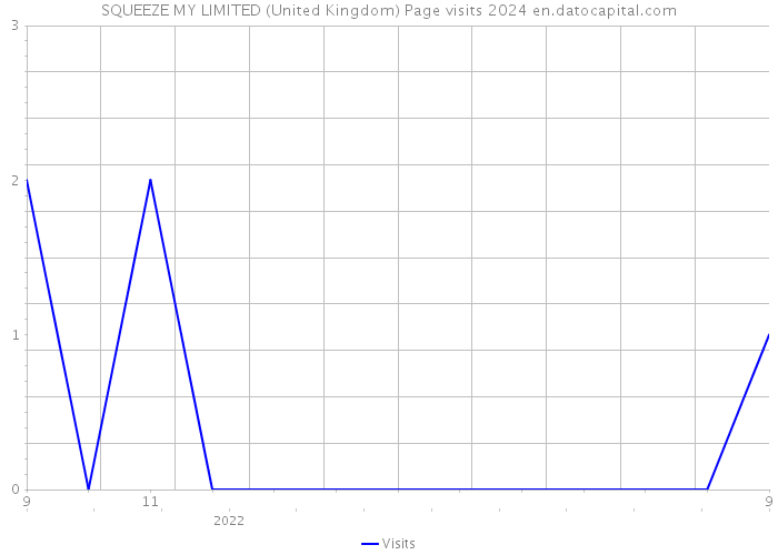 SQUEEZE MY LIMITED (United Kingdom) Page visits 2024 
