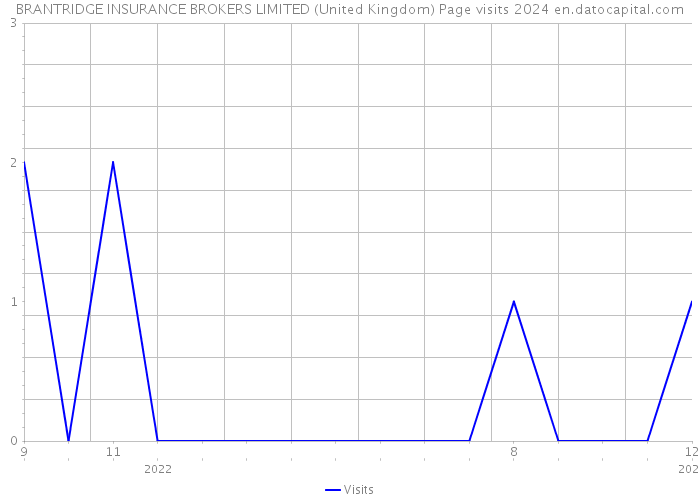 BRANTRIDGE INSURANCE BROKERS LIMITED (United Kingdom) Page visits 2024 