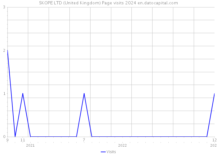 SKOPE LTD (United Kingdom) Page visits 2024 