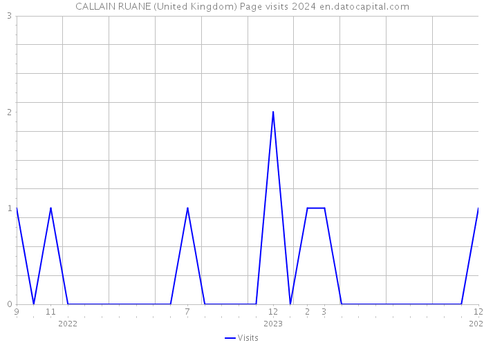 CALLAIN RUANE (United Kingdom) Page visits 2024 