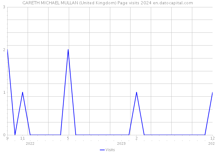 GARETH MICHAEL MULLAN (United Kingdom) Page visits 2024 