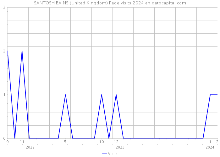 SANTOSH BAINS (United Kingdom) Page visits 2024 
