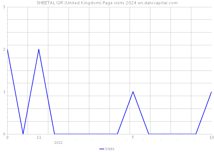 SHEETAL GIR (United Kingdom) Page visits 2024 