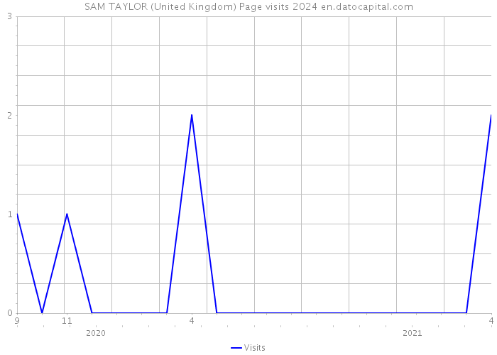 SAM TAYLOR (United Kingdom) Page visits 2024 