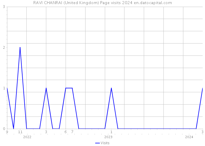 RAVI CHANRAI (United Kingdom) Page visits 2024 