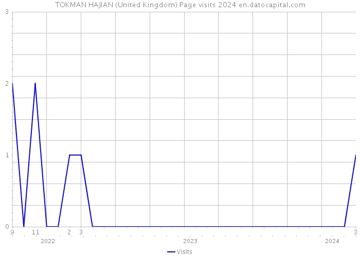 TOKMAN HAJIAN (United Kingdom) Page visits 2024 