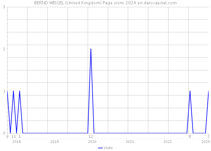 BERND WEIGEL (United Kingdom) Page visits 2024 