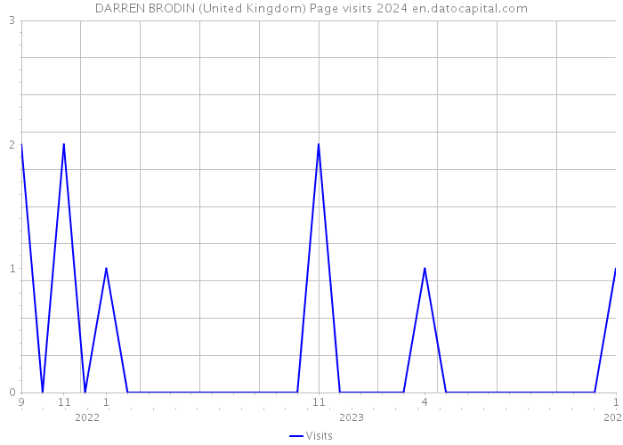 DARREN BRODIN (United Kingdom) Page visits 2024 