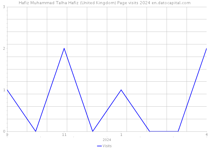 Hafiz Muhammad Talha Hafiz (United Kingdom) Page visits 2024 