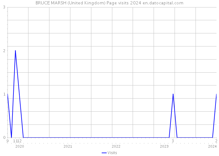 BRUCE MARSH (United Kingdom) Page visits 2024 