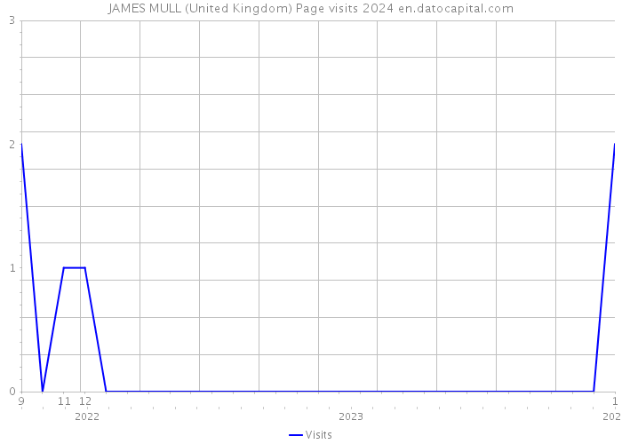JAMES MULL (United Kingdom) Page visits 2024 
