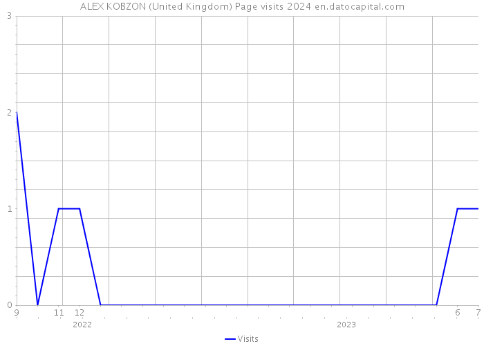 ALEX KOBZON (United Kingdom) Page visits 2024 