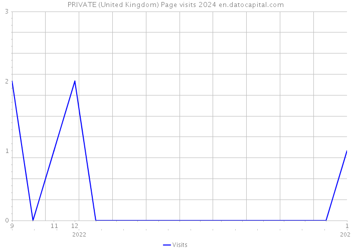 PRIVATE (United Kingdom) Page visits 2024 