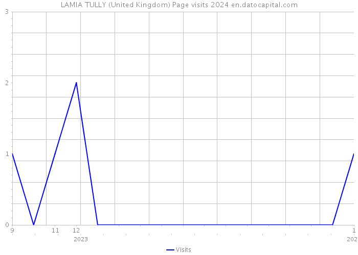 LAMIA TULLY (United Kingdom) Page visits 2024 