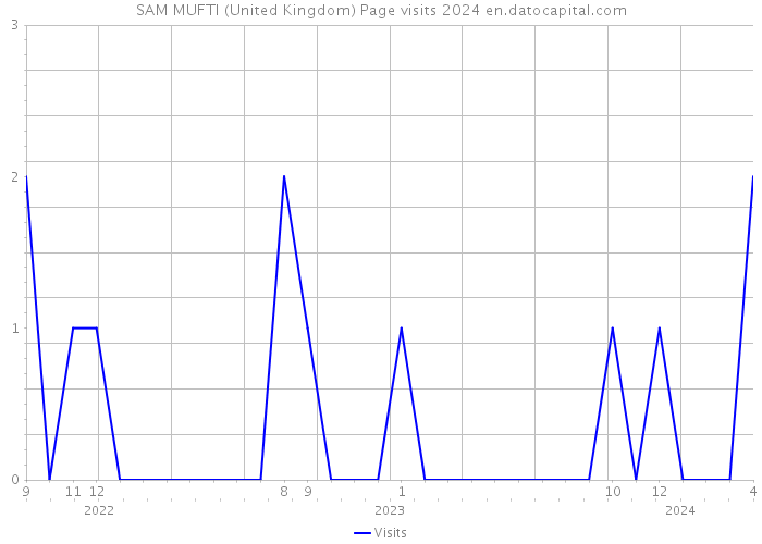 SAM MUFTI (United Kingdom) Page visits 2024 