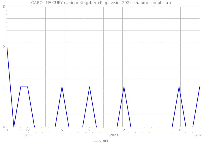 CAROLINE CUBY (United Kingdom) Page visits 2024 