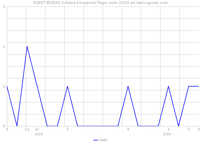 ROHIT BODAS (United Kingdom) Page visits 2024 
