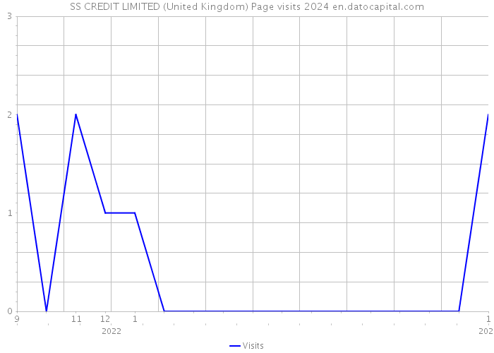 SS CREDIT LIMITED (United Kingdom) Page visits 2024 