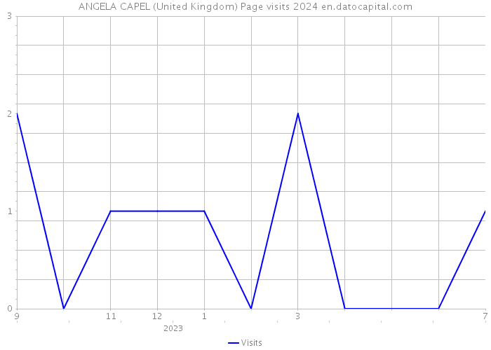 ANGELA CAPEL (United Kingdom) Page visits 2024 