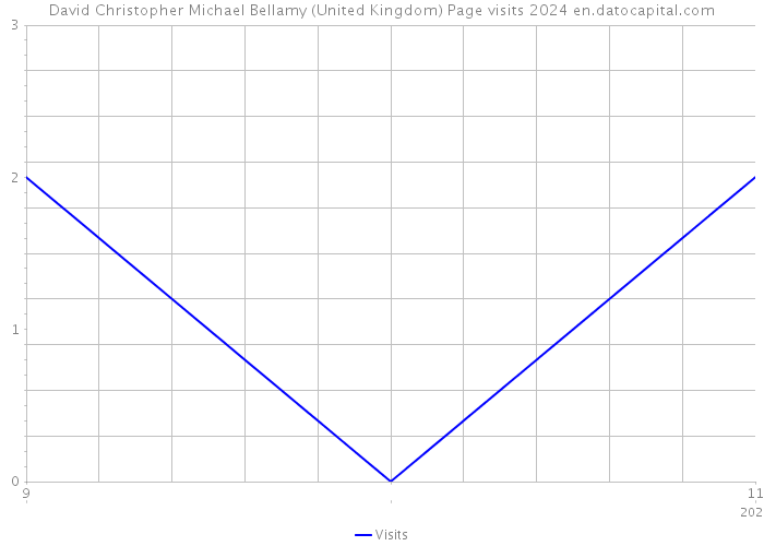 David Christopher Michael Bellamy (United Kingdom) Page visits 2024 