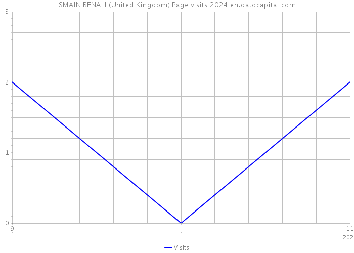 SMAIN BENALI (United Kingdom) Page visits 2024 