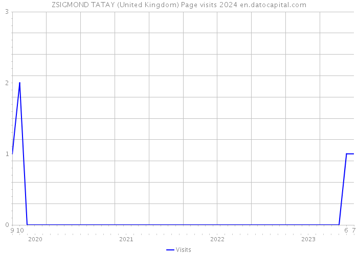 ZSIGMOND TATAY (United Kingdom) Page visits 2024 