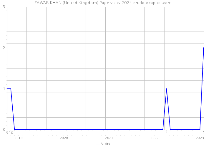ZAWAR KHAN (United Kingdom) Page visits 2024 