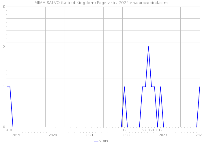 MIMA SALVO (United Kingdom) Page visits 2024 