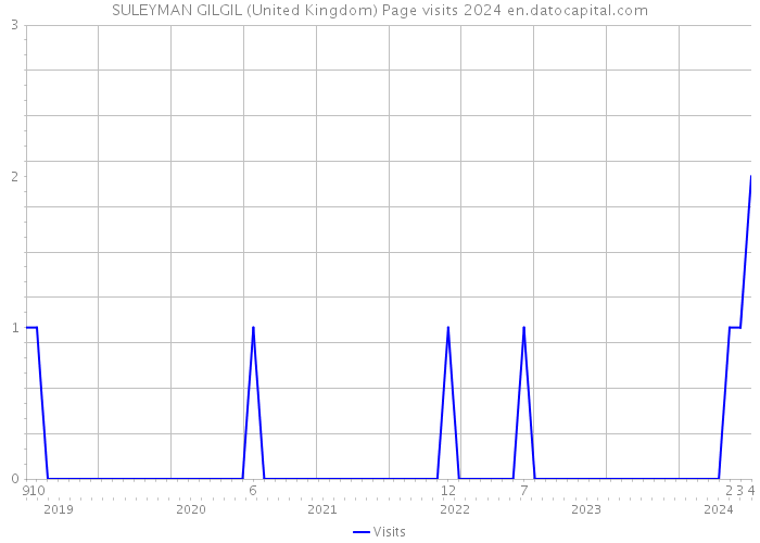 SULEYMAN GILGIL (United Kingdom) Page visits 2024 