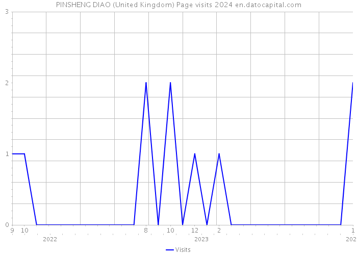 PINSHENG DIAO (United Kingdom) Page visits 2024 