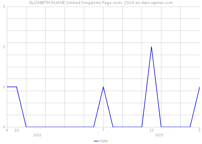 ELIZABETH RUANE (United Kingdom) Page visits 2024 