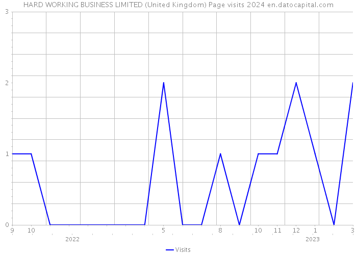 HARD WORKING BUSINESS LIMITED (United Kingdom) Page visits 2024 