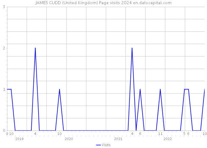 JAMES CUDD (United Kingdom) Page visits 2024 