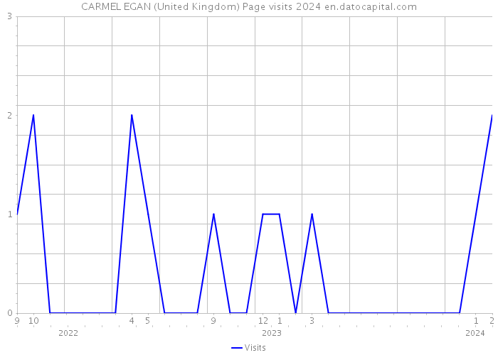 CARMEL EGAN (United Kingdom) Page visits 2024 