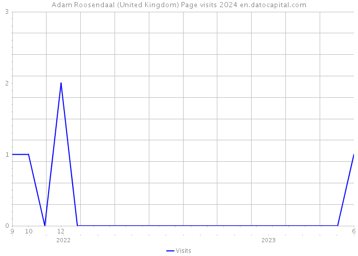 Adam Roosendaal (United Kingdom) Page visits 2024 