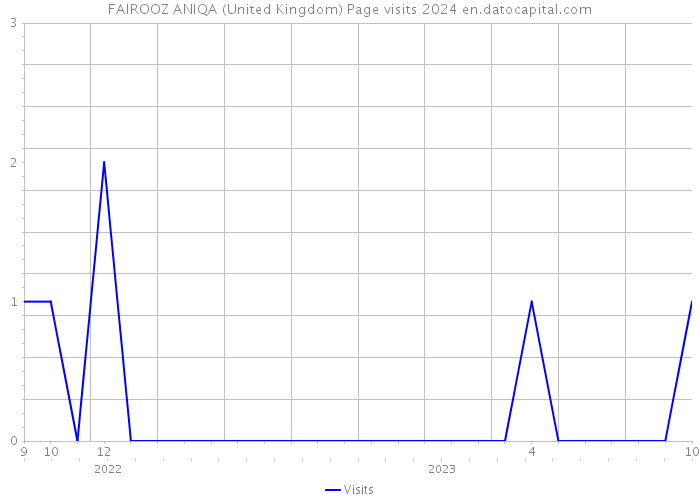 FAIROOZ ANIQA (United Kingdom) Page visits 2024 